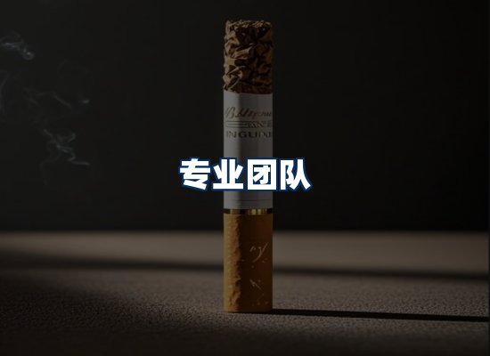 专业团队